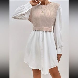 Puff Sleeve 2 In 1 Dress